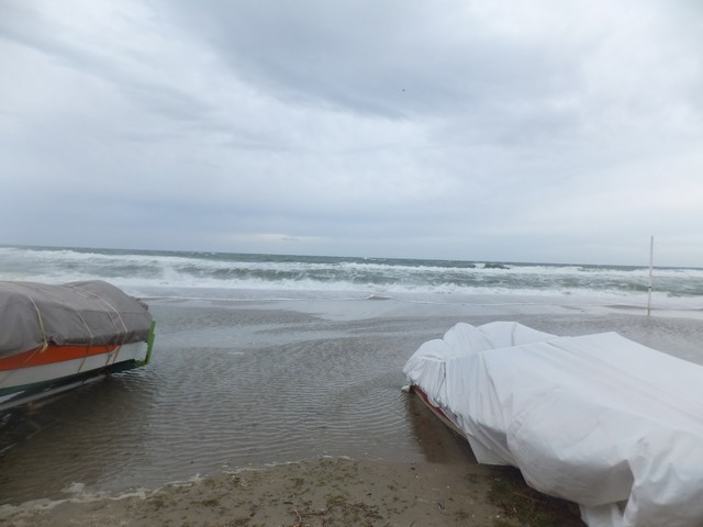 Name:  DSCF0712.jpg
Views: 378
Size:  54.7 KB