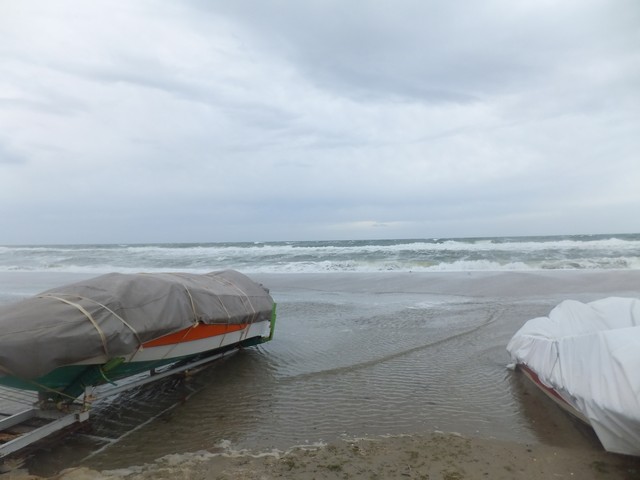 Name:  DSCF0715.jpg
Views: 373
Size:  55.5 KB