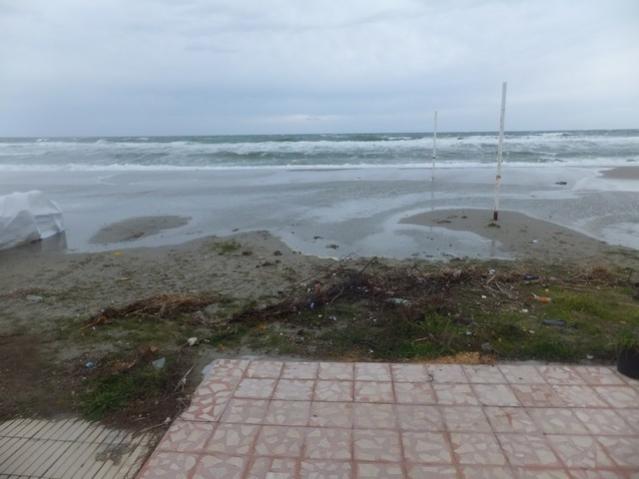 Name:  DSCF0717.jpg
Views: 377
Size:  33.4 KB
