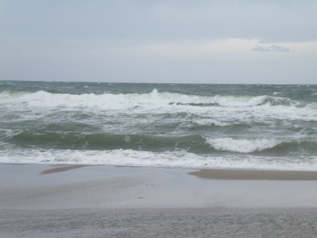 Name:  DSCF0718.jpg
Views: 392
Size:  56.0 KB