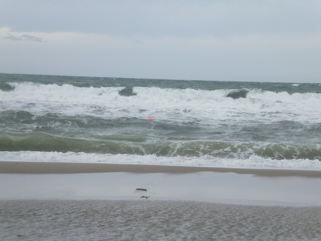 Name:  DSCF0720.jpg
Views: 383
Size:  60.0 KB