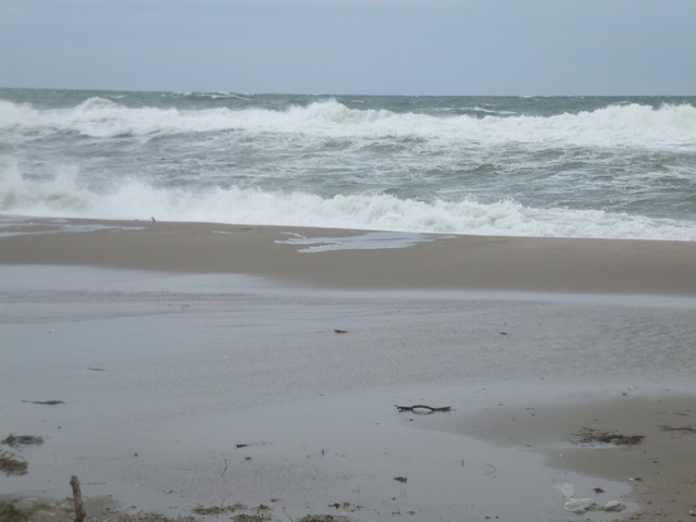 Name:  DSCF0726.jpg
Views: 379
Size:  53.8 KB