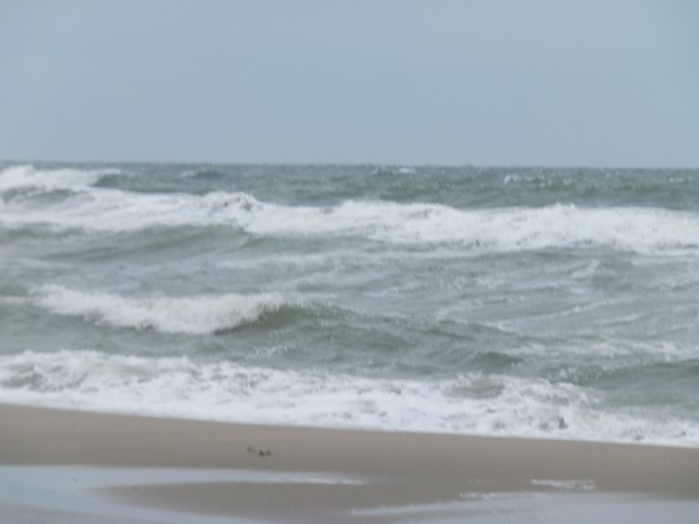 Name:  DSCF0730.jpg
Views: 383
Size:  45.1 KB