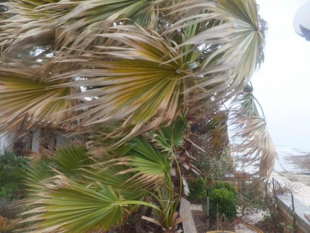 Name:  DSCF0732.jpg
Views: 380
Size:  55.0 KB