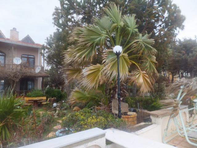 Name:  DSCF0740.jpg
Views: 378
Size:  54.8 KB