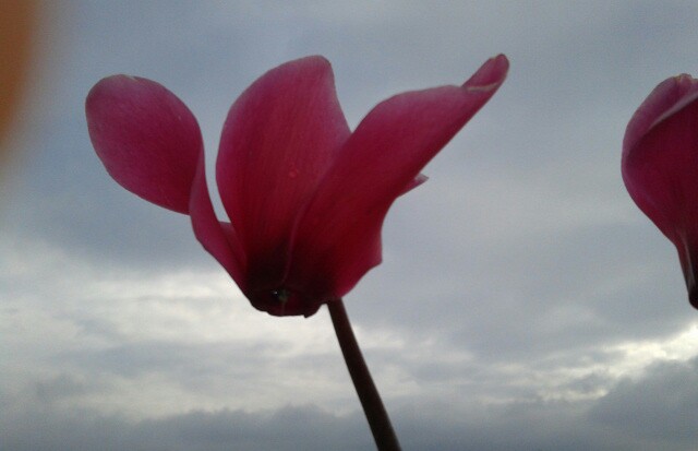 Name:  20130211_145757-1.jpg
Views: 564
Size:  39.3 KB