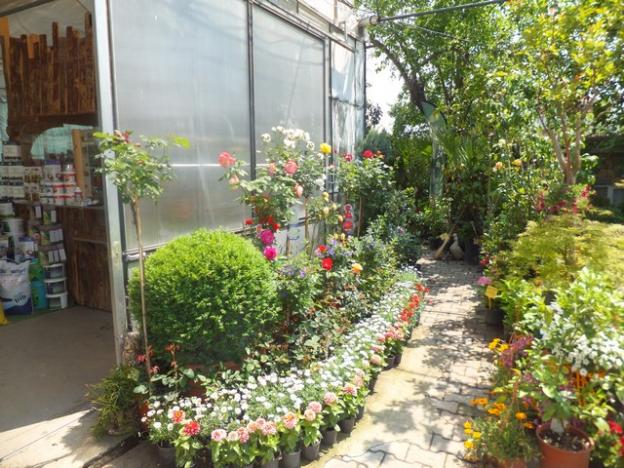Name:  DSCF2732.jpg
Views: 629
Size:  71.3 KB