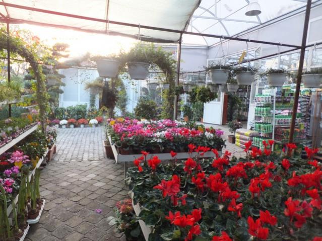Name:  DSCF8610.jpg
Views: 575
Size:  63.6 KB
