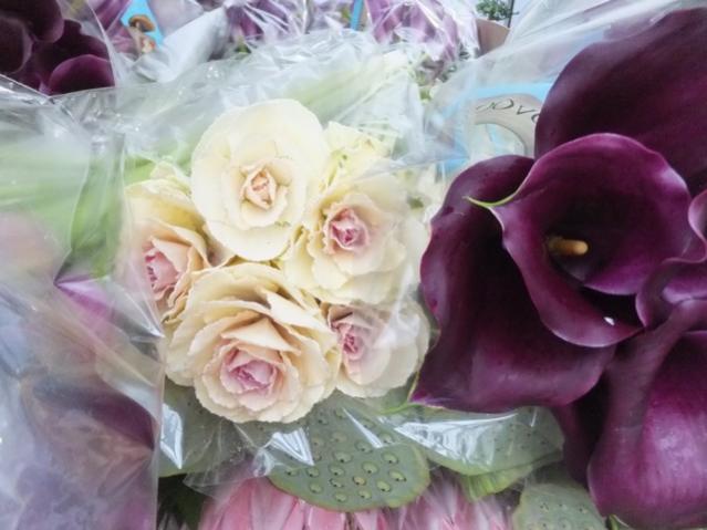 Name:  DSCF8625.jpg
Views: 554
Size:  39.3 KB