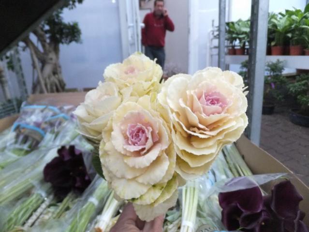 Name:  DSCF8628.jpg
Views: 593
Size:  40.9 KB