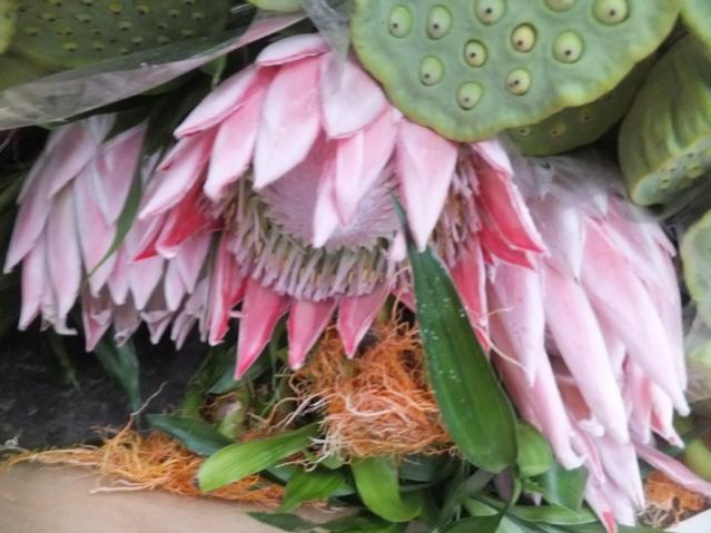 Name:  DSCF8629.jpg
Views: 574
Size:  45.1 KB