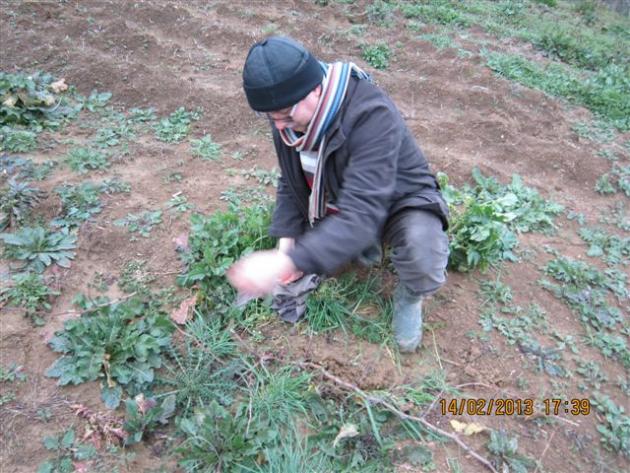 Name:  Resim 005.jpg
Views: 1319
Size:  69.2 KB