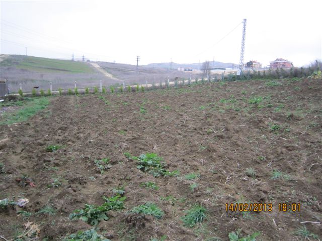 Name:  Resim 013.jpg
Views: 1344
Size:  66.1 KB