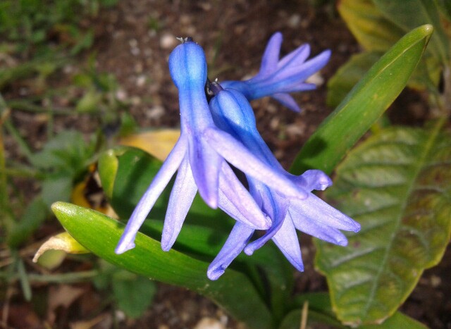 Name:  20130218_144017-1.jpg
Views: 582
Size:  69.3 KB