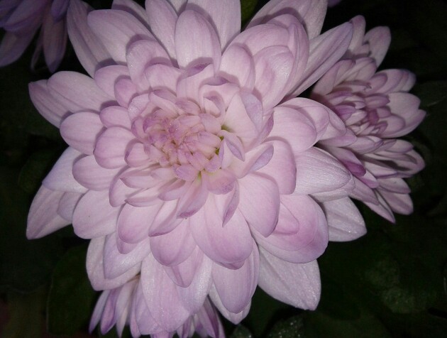 Name:  20130219_090023-1.jpg
Views: 547
Size:  62.1 KB