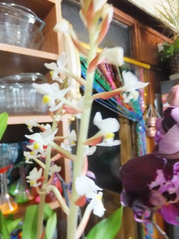 Name:  DSCF9842.jpg
Views: 323
Size:  60.4 KB