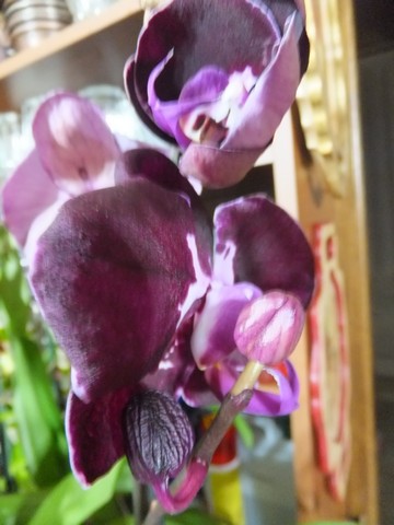 Name:  DSCF9844.jpg
Views: 305
Size:  53.9 KB