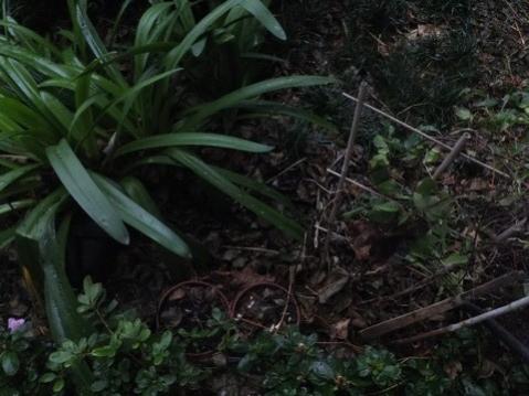 Name:  DSCF9872.jpg
Views: 314
Size:  29.9 KB