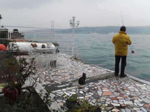 Name:  DSCF9878.jpg
Views: 309
Size:  47.0 KB