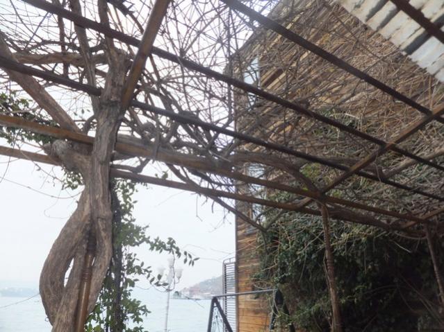 Name:  DSCF9883.jpg
Views: 287
Size:  65.4 KB