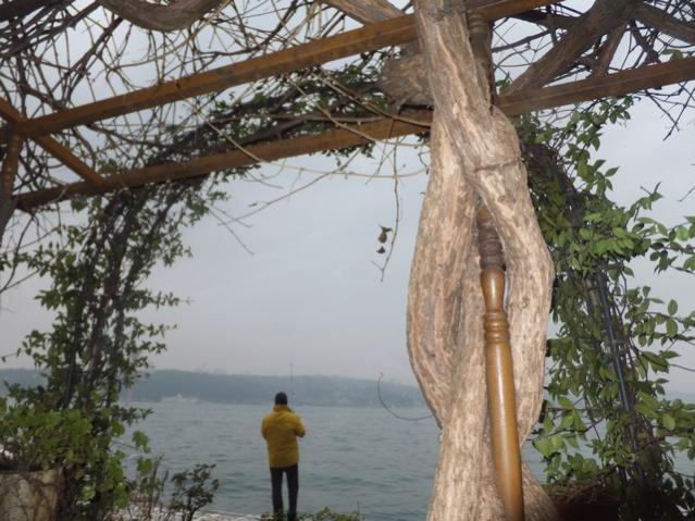 Name:  DSCF9884.jpg
Views: 294
Size:  59.8 KB