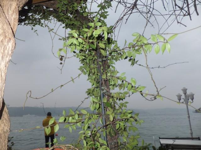 Name:  DSCF9885.jpg
Views: 311
Size:  50.7 KB