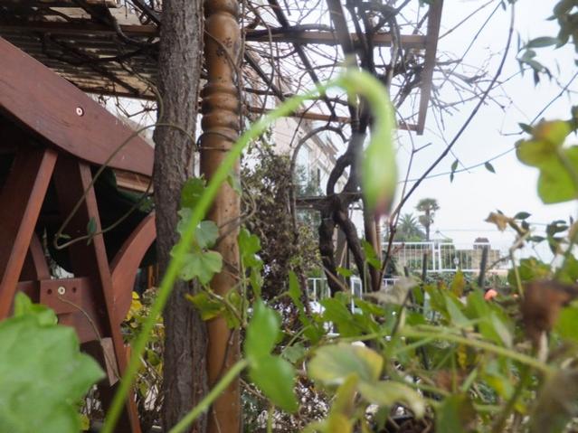 Name:  DSCF9886.jpg
Views: 313
Size:  56.5 KB