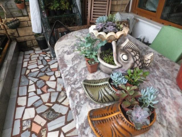 Name:  DSCF9892.jpg
Views: 351
Size:  57.1 KB