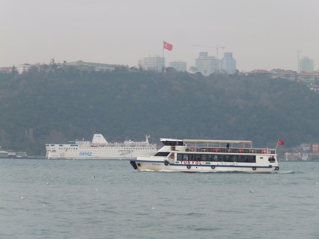 Name:  DSCF9909.jpg
Views: 560
Size:  56.3 KB