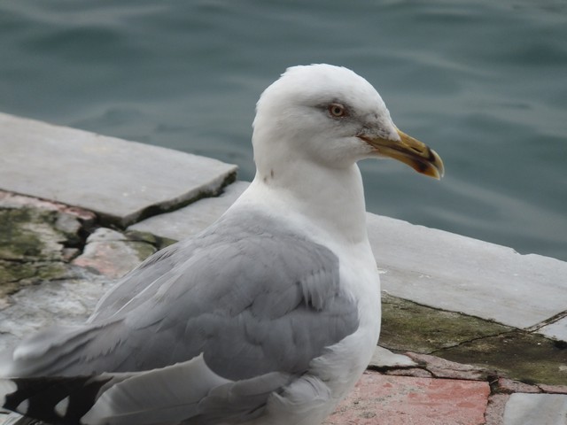 Name:  DSCF9915.jpg
Views: 291
Size:  61.1 KB
