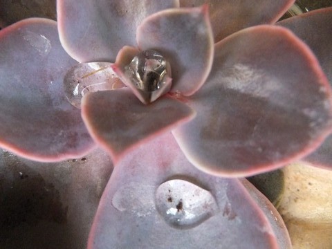 Name:  DSCF9925.jpg
Views: 288
Size:  61.4 KB