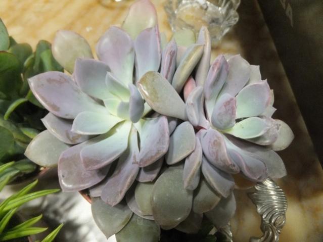 Name:  DSCF0152.jpg
Views: 273
Size:  36.8 KB