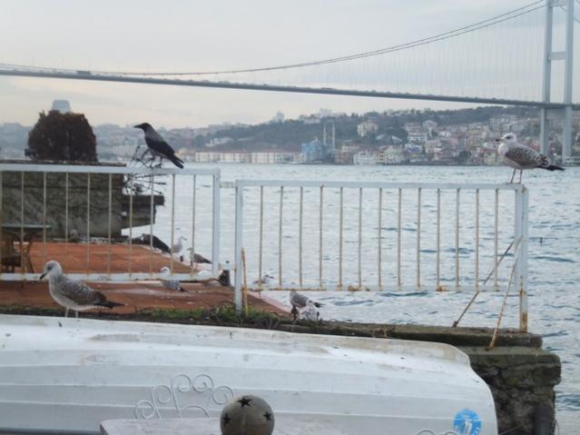 Name:  DSCF0188.jpg
Views: 291
Size:  40.5 KB