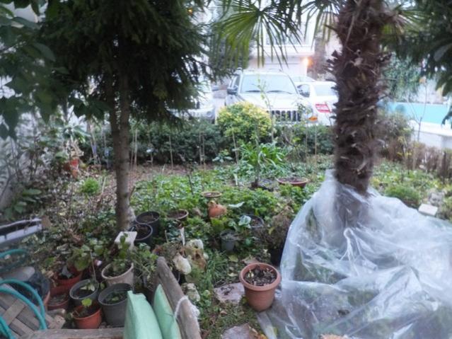 Name:  DSCF0250.jpg
Views: 627
Size:  60.7 KB