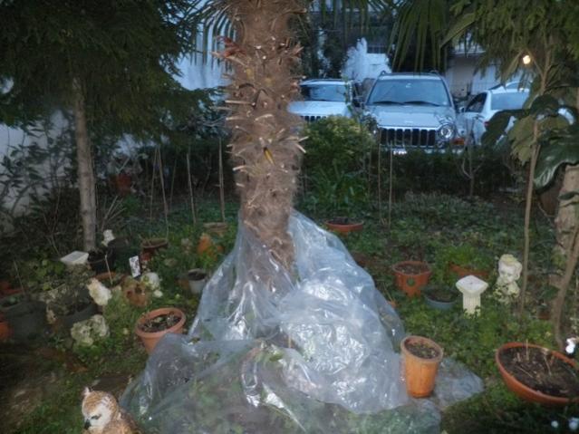 Name:  DSCF0251.jpg
Views: 619
Size:  51.3 KB