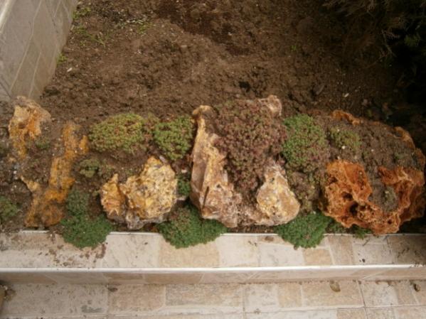 Name:  girite ki sedumlar.jpg
Views: 956
Size:  48.2 KB