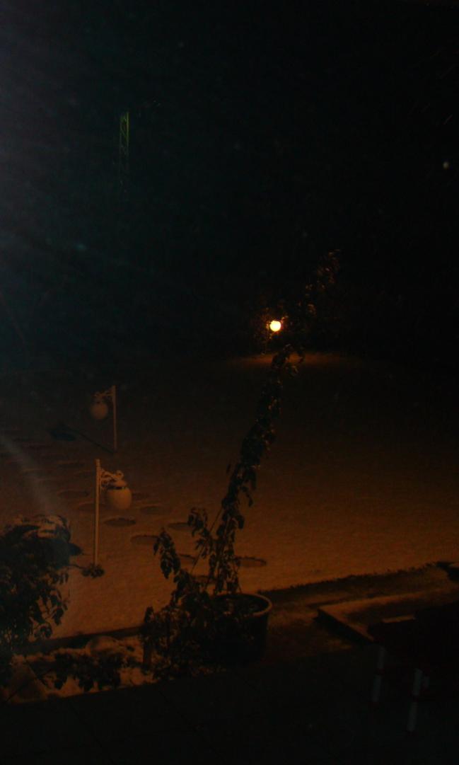 Name:  8.jpg
Views: 803
Size:  31.6 KB