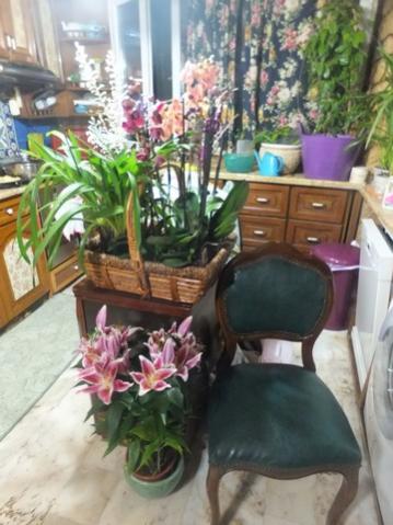 Name:  DSCF0323.jpg
Views: 473
Size:  33.7 KB