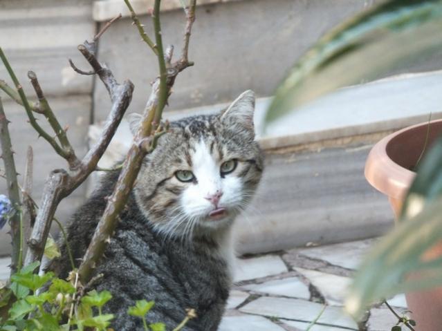 Name:  DSCF0326.jpg
Views: 471
Size:  40.8 KB