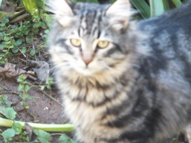 Name:  DSCF0330.jpg
Views: 496
Size:  37.8 KB