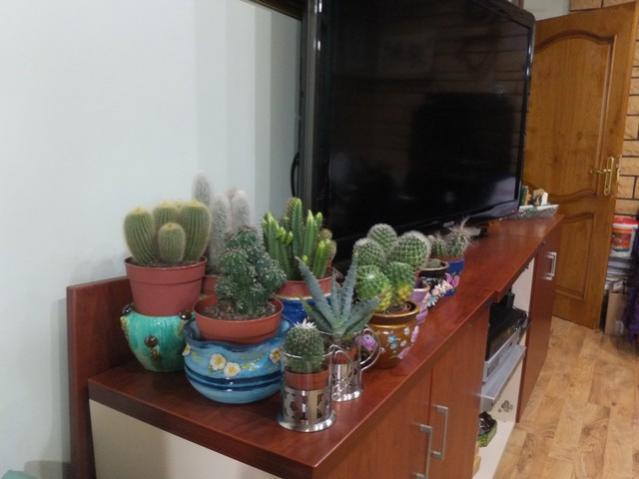 Name:  DSCF0368.jpg
Views: 492
Size:  31.8 KB