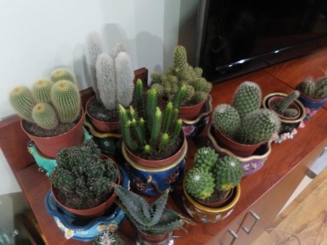 Name:  DSCF0370.jpg
Views: 516
Size:  39.7 KB