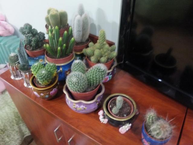 Name:  DSCF0371.jpg
Views: 463
Size:  36.7 KB