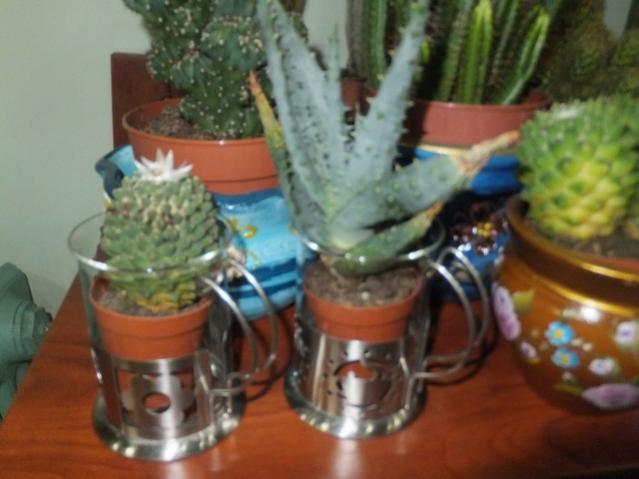 Name:  DSCF0374.jpg
Views: 471
Size:  36.7 KB