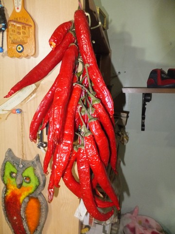 Name:  DSCF0382.jpg
Views: 504
Size:  65.0 KB