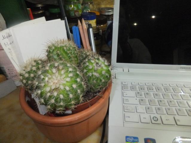 Name:  DSCF0383.jpg
Views: 482
Size:  37.5 KB