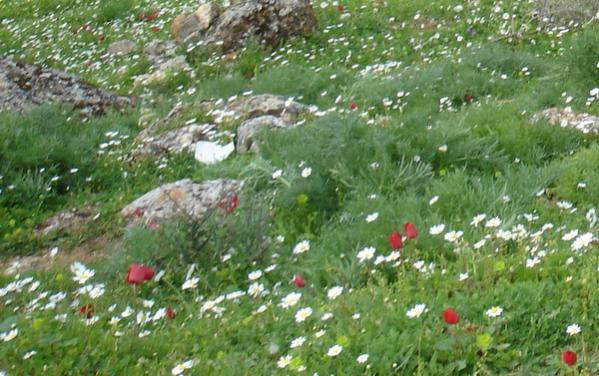 Name:  6.jpg
Views: 840
Size:  53.8 KB