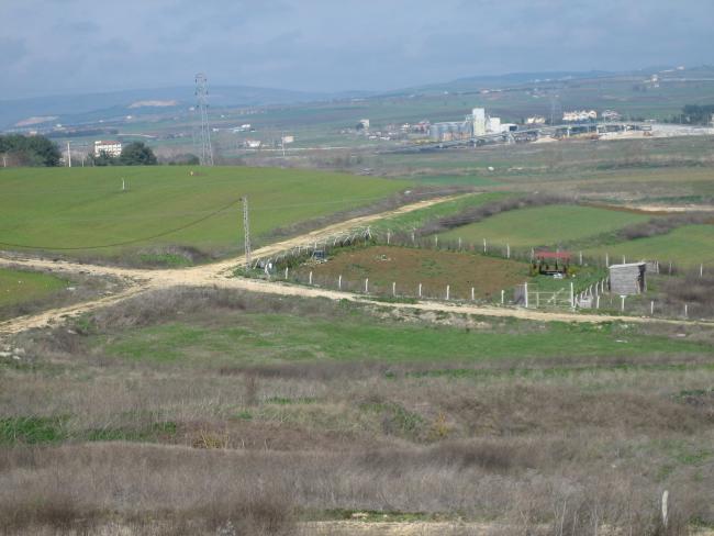 Name:  yalova fidanc 013.jpg
Views: 1263
Size:  41.5 KB
