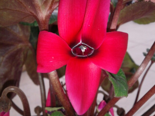 Name:  20130226_094100-1.jpg
Views: 586
Size:  59.5 KB