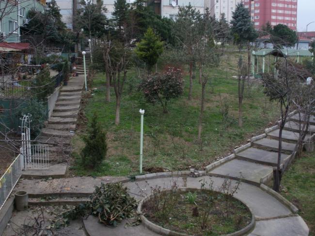 Name:  P1010085a.jpg
Views: 961
Size:  63.7 KB